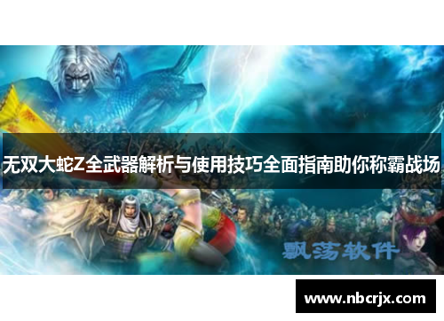 无双大蛇Z全武器解析与使用技巧全面指南助你称霸战场