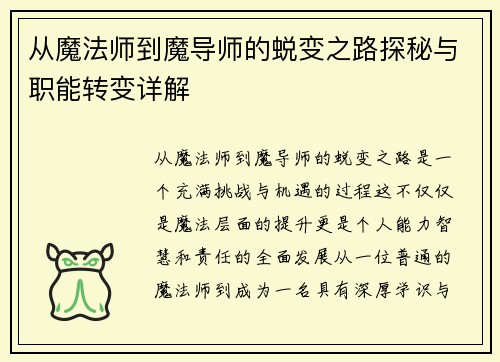 从魔法师到魔导师的蜕变之路探秘与职能转变详解